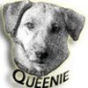 queeniefound